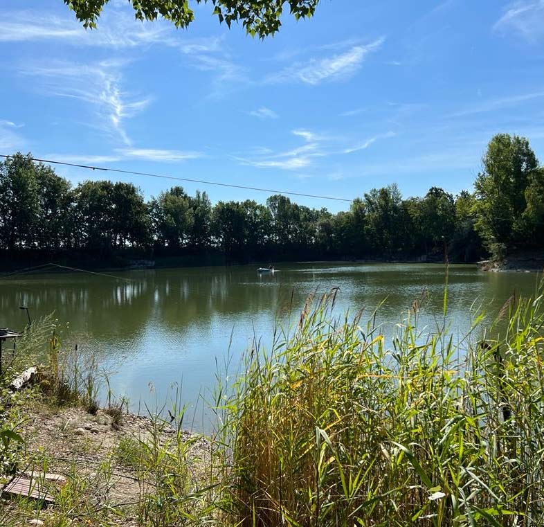 Teich